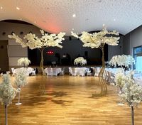 Kirschblütenbäume groß | Verleih | Hochzeit | Verlobung | Deko Hessen - Stadtallendorf Vorschau