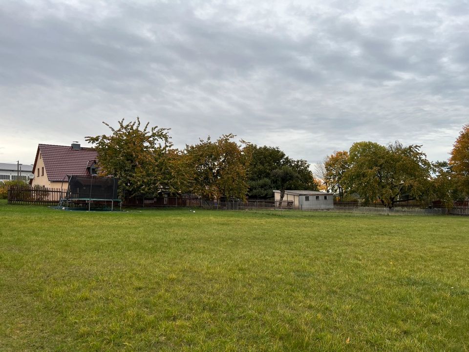 Ihr Traum vom Eigenheim wird wahr: ca. 800m² Bauerwartungsland in ruhiger Lage! in Reinhardtsgrimma