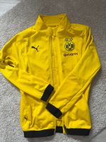 BVB Borussia Dortmund Trainingsjacke gelb Gr 152 Sachsen-Anhalt - Querfurt Vorschau