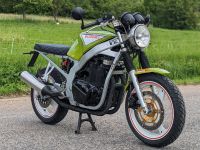 Suzuki GS 500 E Acker Edition, Scrambler m. 1 Jahr Gewährleistung Bayern - Königsberg i. Bayern Vorschau