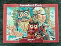 Puzzle - 2000 Teile - EULEN - Castorland Puzzle Schleswig-Holstein - Itzstedt Vorschau