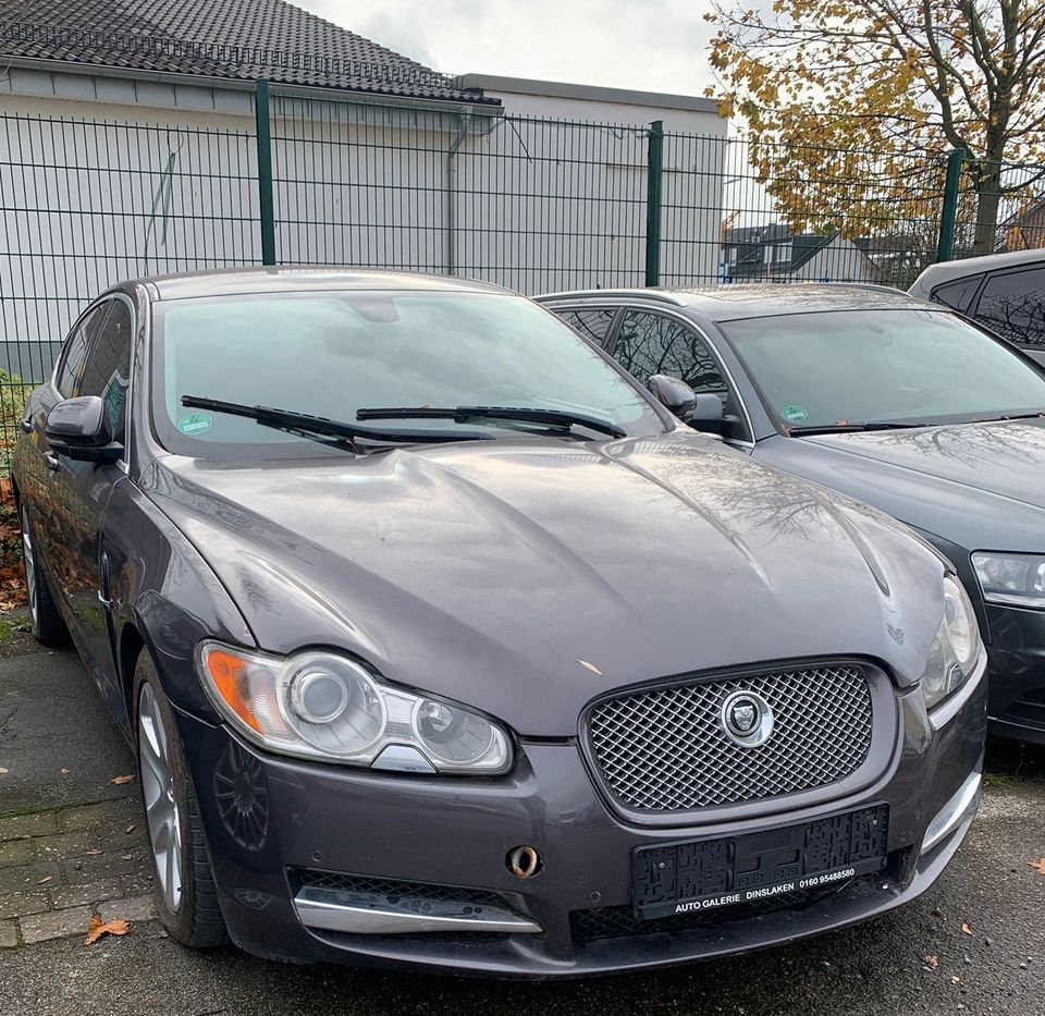 Jaguar XF 250 3.0 V6 Diesel Luxury,Leder,Navi,Alu in Essen