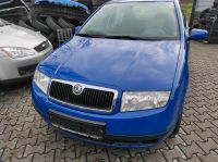 Skoda Fabia 2004 Stoßstange vo+hi Rückleuchten Lenkrad Hessen - Babenhausen Vorschau