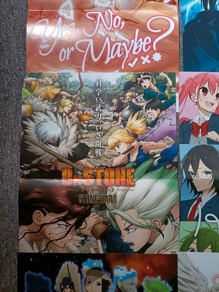 Verschiedene Anime Poster Aot Pokemon Demon Slayer Vanitas mha bl in Harsum