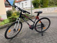 Damen Mountainbike Bayern - Reckendorf Vorschau