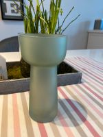 ☀️Neue Hyazinthen Vase grün Depot ☀️ Nordrhein-Westfalen - Rhede Vorschau