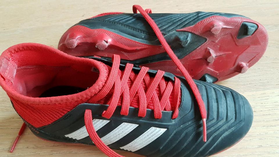 Stollenschuhe Adidas Predators Größe 35,5 in Buchholz in der Nordheide