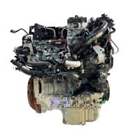 Motor für Opel Vauxhall Vivaro C 1,5 D Diesel D15DT DV5RUCD Rheinland-Pfalz - Thalhausen b. Hamm Vorschau