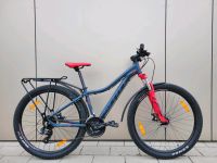 27,5 Zoll Scott Contessa 740 Mountainbike Dresden - Innere Altstadt Vorschau