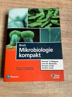 Brock - Mikrobiologie kompakt Rheinland-Pfalz - Kandel Vorschau