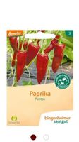 Paprika Pflanzen Pankow - Weissensee Vorschau