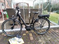 E Bike 250W Mittelmotor Shimano Nexus Rücktritt, MIFA ca. 800km Sachsen - Hartha Vorschau