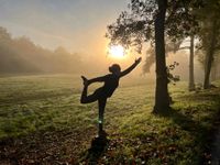 Yoga Krankenkassenkurse Essen - Rüttenscheid Vorschau