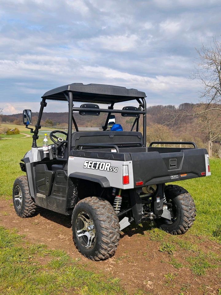 HISUN Sector 550 80kmh UTV ATV Side by Side in Gummersbach