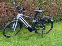 E-Bike Pegasus Premio EVO 10 RH 53 Top Zustand Nordrhein-Westfalen - Marl Vorschau