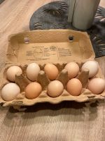 Seidenhuhn Eier (keine Bruteier) Bayern - Viechtach Vorschau