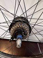 Laufradsatz 28" Shimano Nexus 8Gang Trekking/E-Bike Riemenscheibe Baden-Württemberg - Radolfzell am Bodensee Vorschau