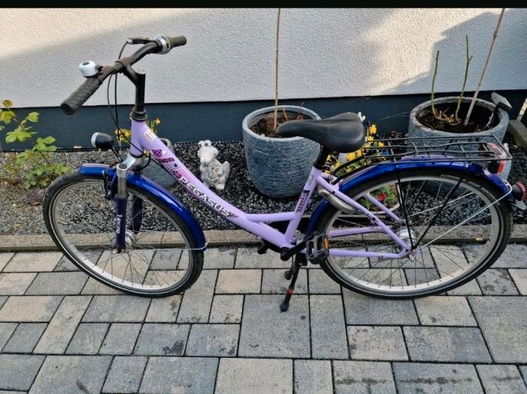 Pegasus Arcona Mädchen Damen Jugend Fahrrad  26" in Übach-Palenberg