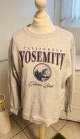 Hollister Sweater/ Pullover Gr. S Nordrhein-Westfalen - Düren Vorschau