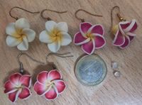 Blumenohrringe Fimo Modeschmuck Brandenburg - Rangsdorf Vorschau