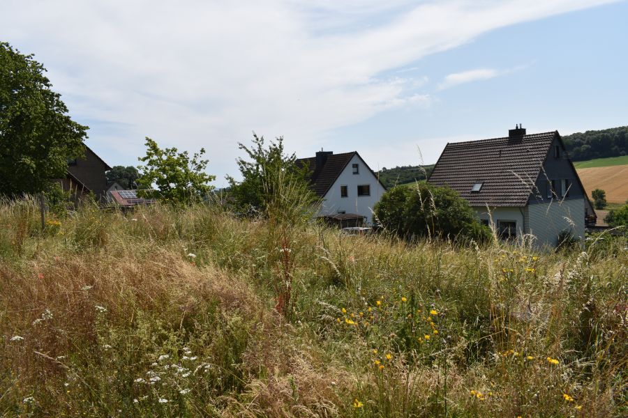 Großes Baugrundstück mit unverbaubarem Blick - Moringen OT Nienhagen in Moringen