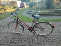 Fahrrad - Damenfahrrad Niedersachsen - Peine Vorschau