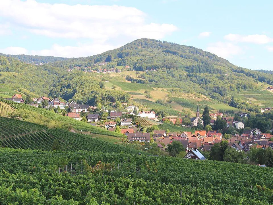 Urlaub im Schwarzwald in Sasbachwalden in der Ferienwohnung in Maikammer