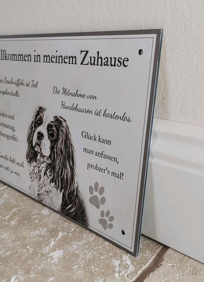 Hundeschild Türschild Hund Cavalier King Charles Spaniel in Sailauf