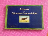 Album für Chlorodont-Sammelbilder europäische Säugetiere Leipzig - Sellerhausen-Stünz Vorschau