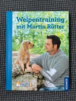 Welpentraining mit Martin Rütter Nordrhein-Westfalen - Menden Vorschau