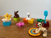 Lego duplo 10838 - Haustiere Bayern - Sonnen Vorschau