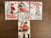 Cells at Work 1-3 und Black 1 Manga Bücher Wandsbek - Hamburg Hummelsbüttel  Vorschau