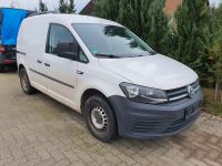 VW Caddy 1,6Tdi Klima,Ahk neues Modell aus erster Hand Niedersachsen - Schneverdingen Vorschau