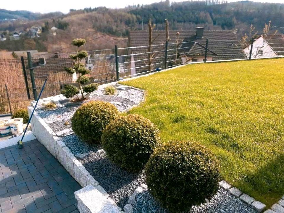 Garten und landschaftsbau Gartengestaltung Bagger arbeiten... in Siegen