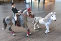 Schleich Dressurreiterin mit Pony Bayern - Ursensollen Vorschau