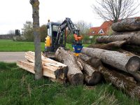 Kegelspalter Holzspalter Minibagger mieten Bayern - Kastl b. Amberg Vorschau