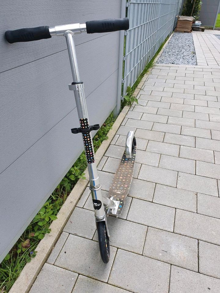 Crane City Roller / Scooter in Bad Homburg