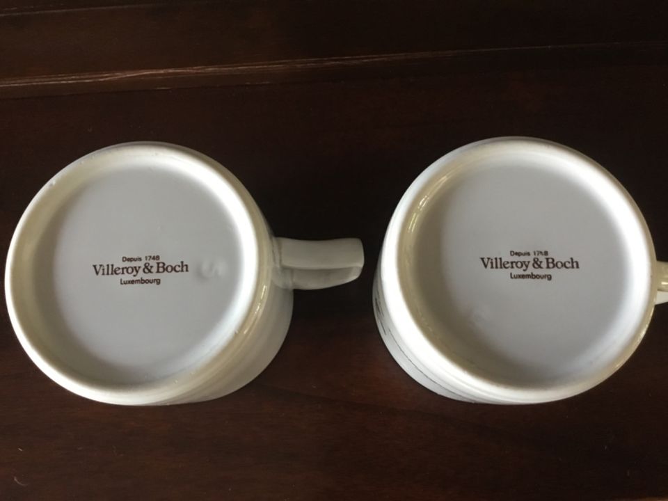 Villeroy & Boch Botanica Espresso Tassen in Grevenbroich
