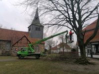 Baumpflege, Baumfällung, Landschaftspflege Hannover - Mitte Vorschau