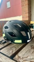 Fahrradhelm von Abus Größe 58-63  XL  Fahrrad Helm Niedersachsen - Uslar Vorschau