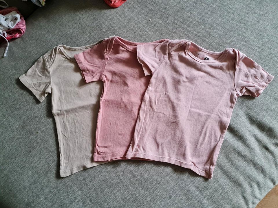 H&M 3 Baby Shirts Set Gr. 86 in Radebeul