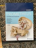 Prometheus lernpaket der Anatomie lüthje Kiel - Schreventeich-Hasseldieksdamm Vorschau