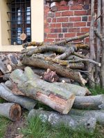 Holz, Laubholz, Kamin geeignet Brandenburg - Schönborn Vorschau