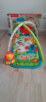 3 in 1 Spieldecke Fisher Price Baden-Württemberg - Waghäusel Vorschau