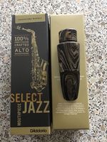 Altsaxophon Mundstück D´Addario Select Jazz D6M Niedersachsen - Esens Vorschau