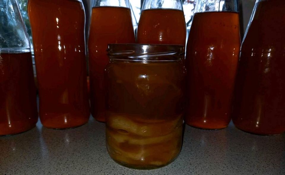 Kombucha Ansatz mit Scoby abzugeben, Bio in Herborn