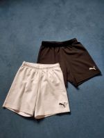 Puma Sportshorts München - Bogenhausen Vorschau