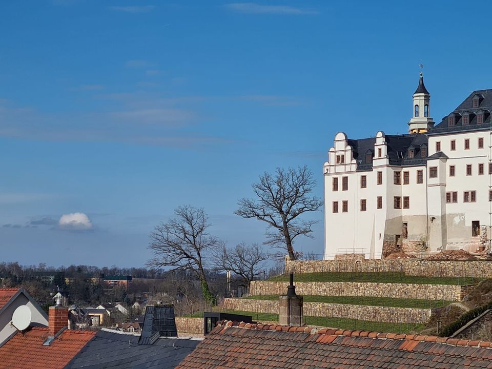 ++ FRISCH RENOVIERTE 3 Zi. Whg mit Blick auf das Schloss // moderne Hoch-Etag ++ in Lichtenstein