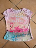 Neu H&M Shirt Flamingo 158 164 Nordrhein-Westfalen - Paderborn Vorschau