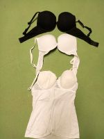 BHs Oberteile Bustier 85b Nordrhein-Westfalen - Hörstel Vorschau